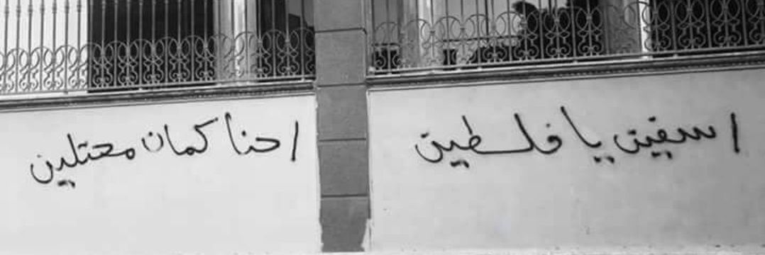 برايز banner