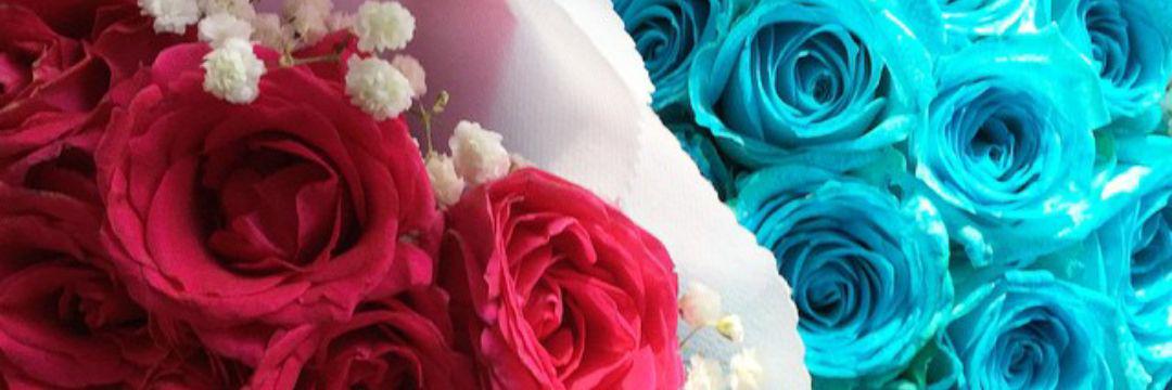 _riskaalmalia's profile banner image