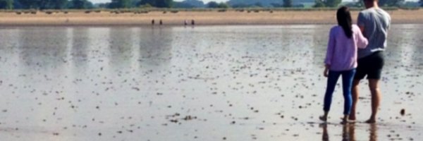 NickyLFox Profile Banner