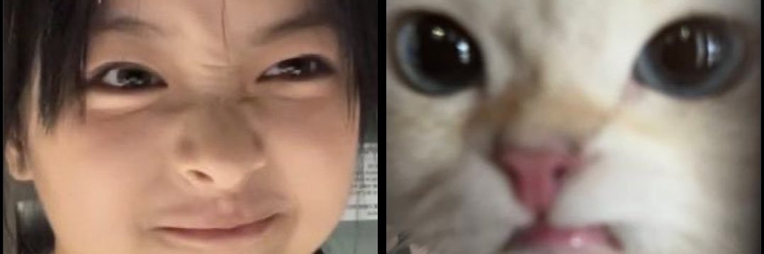 hanni_🦭's banner
