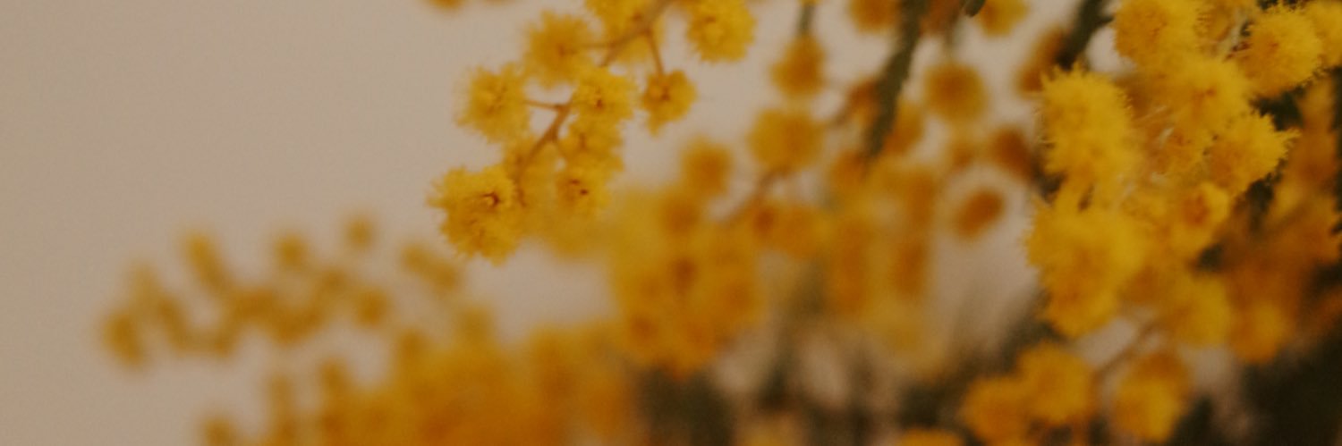 oooyoooko's profile banner image