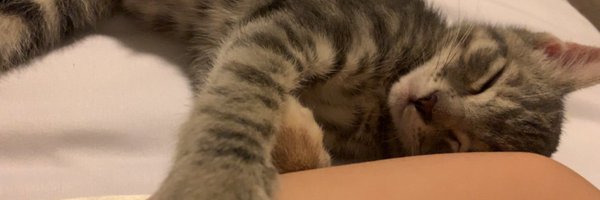 yegemmi Profile Banner