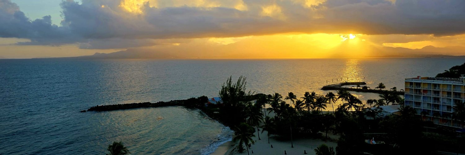 White hyacinths banner