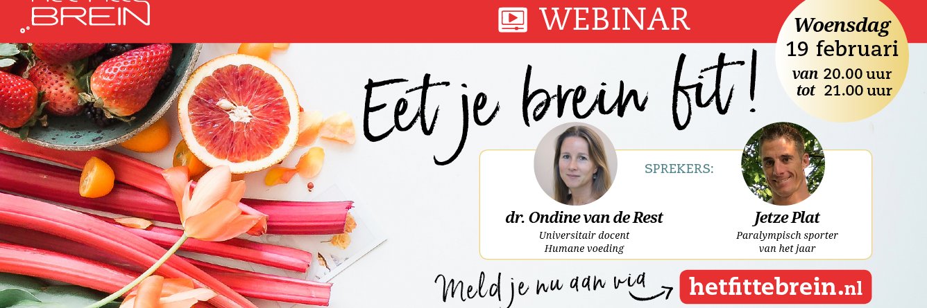 Het Fitte Brein banner