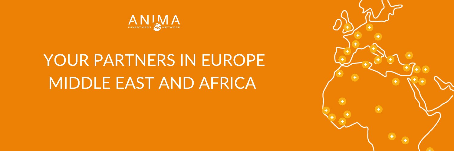 ANIMA Invest Network banner