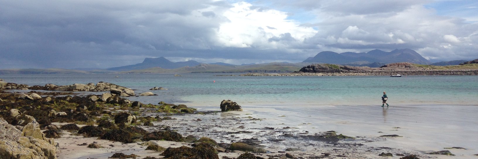 Emma Wainwright emmawainwright.bsky.social banner