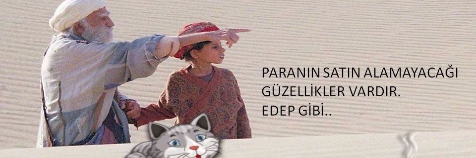 ebrarin's profile banner image