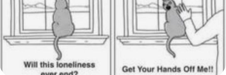 Hard Pressed Memes banner