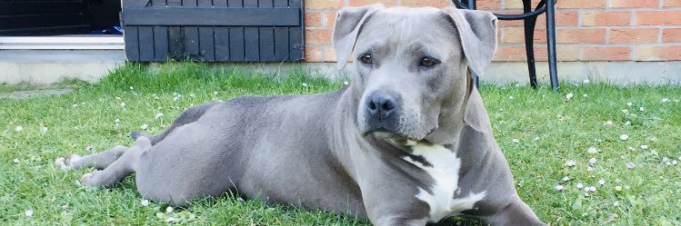delkouzz's profile banner image