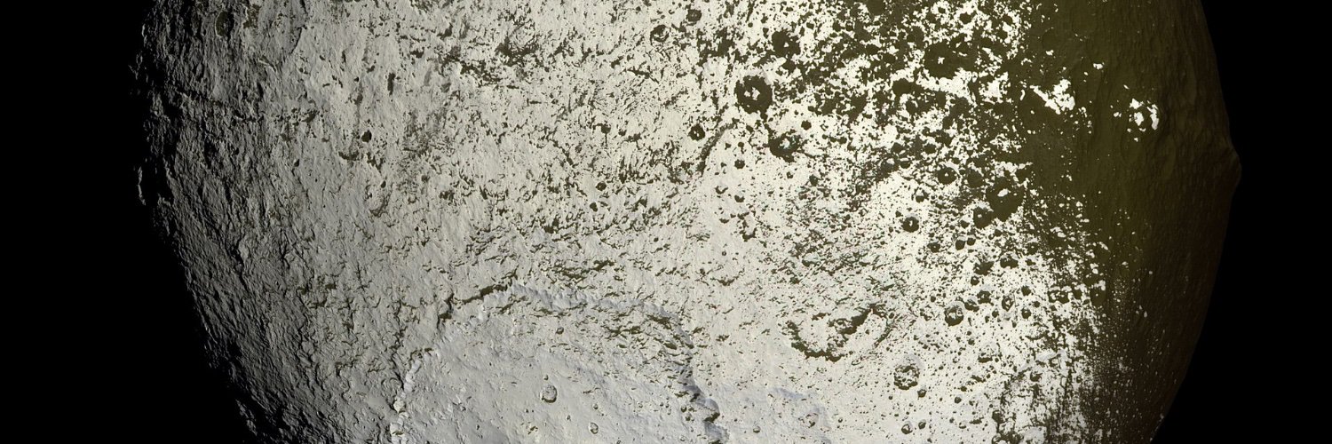 warhoonwinter's profile banner image