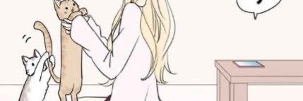cayreid's profile banner image