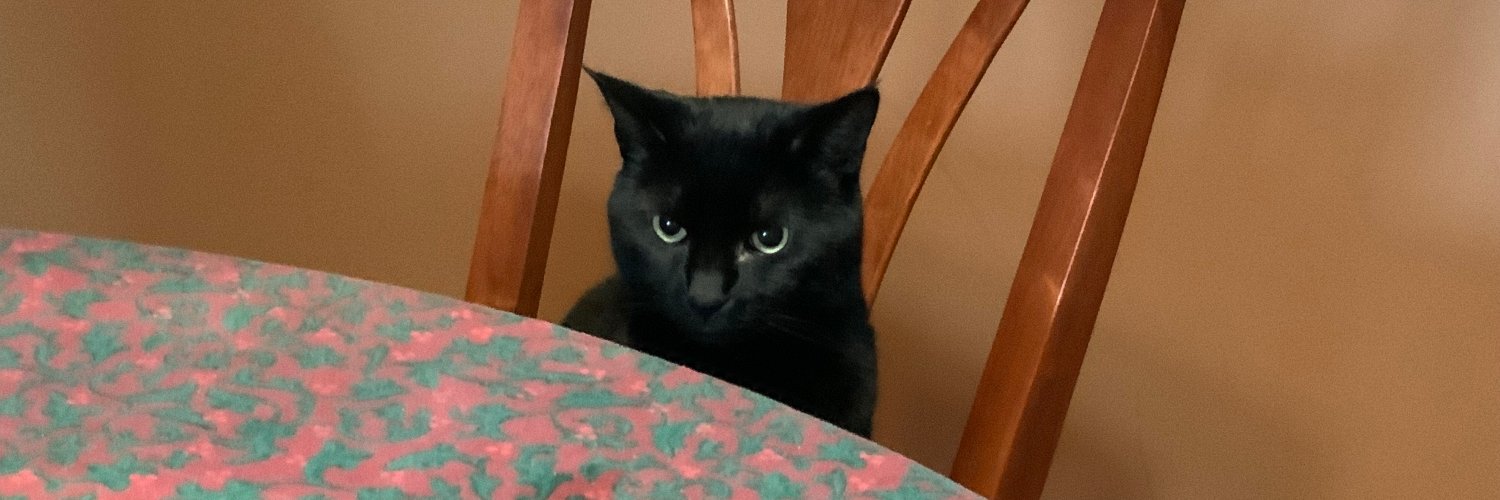 Lance Whitney banner