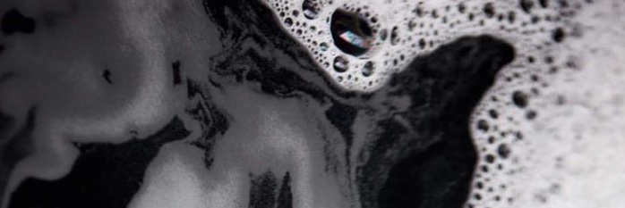 🦊 banner