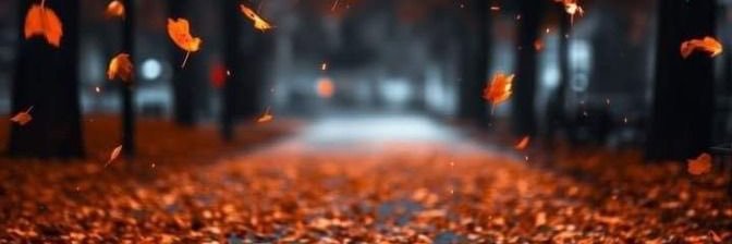 Aminu_SM's profile banner image