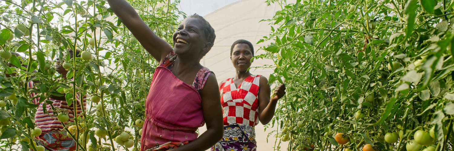 Practical Action banner