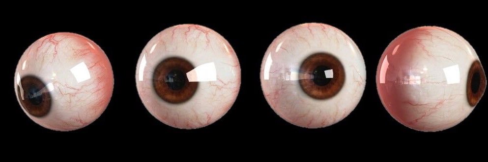 femcel kunkida sex master 1000 banner