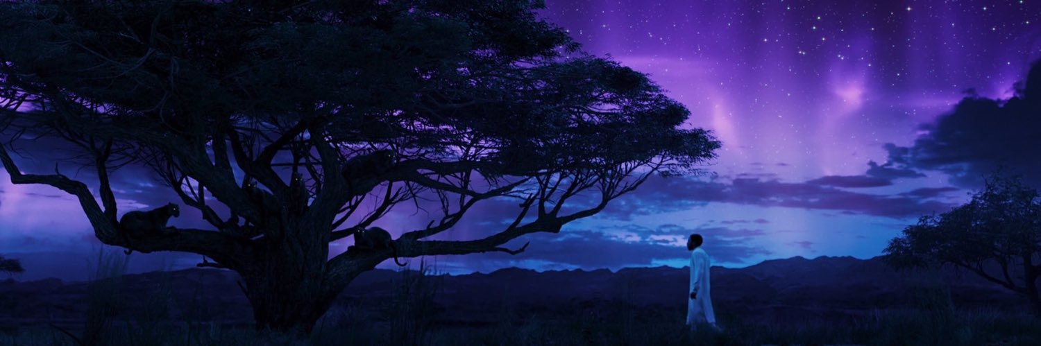 alexrascon13's profile banner image
