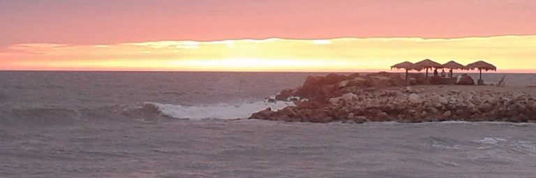 analy_jsm's profile banner image