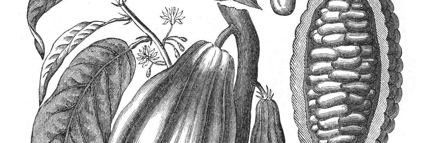CocoaRunners's profile banner image