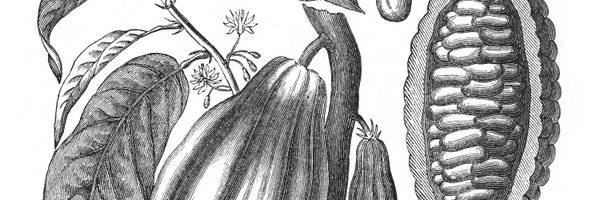 CocoaRunners Profile Banner
