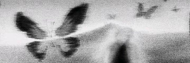 泪痕 banner