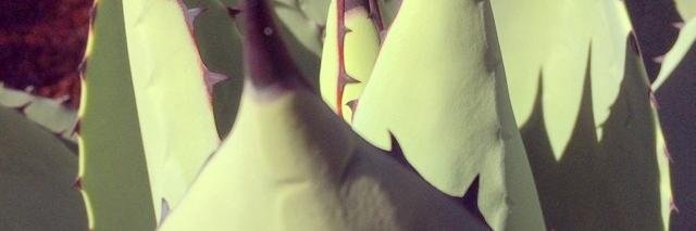 matildagrxce's profile banner image