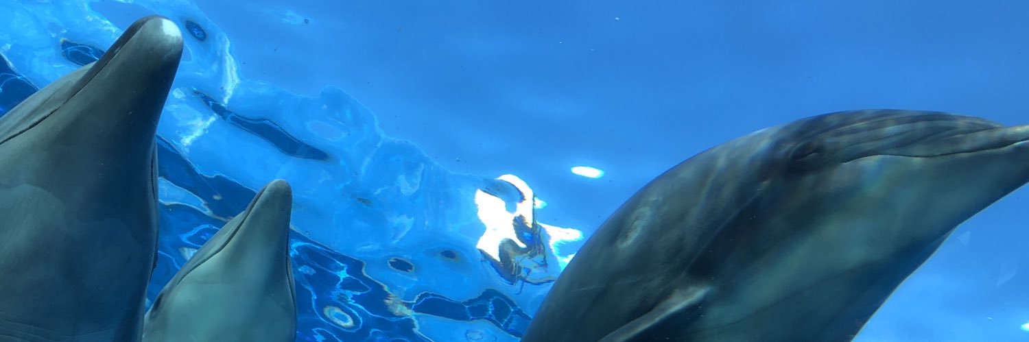 沢田裕位(演劇NET LANNING)【公式】 banner