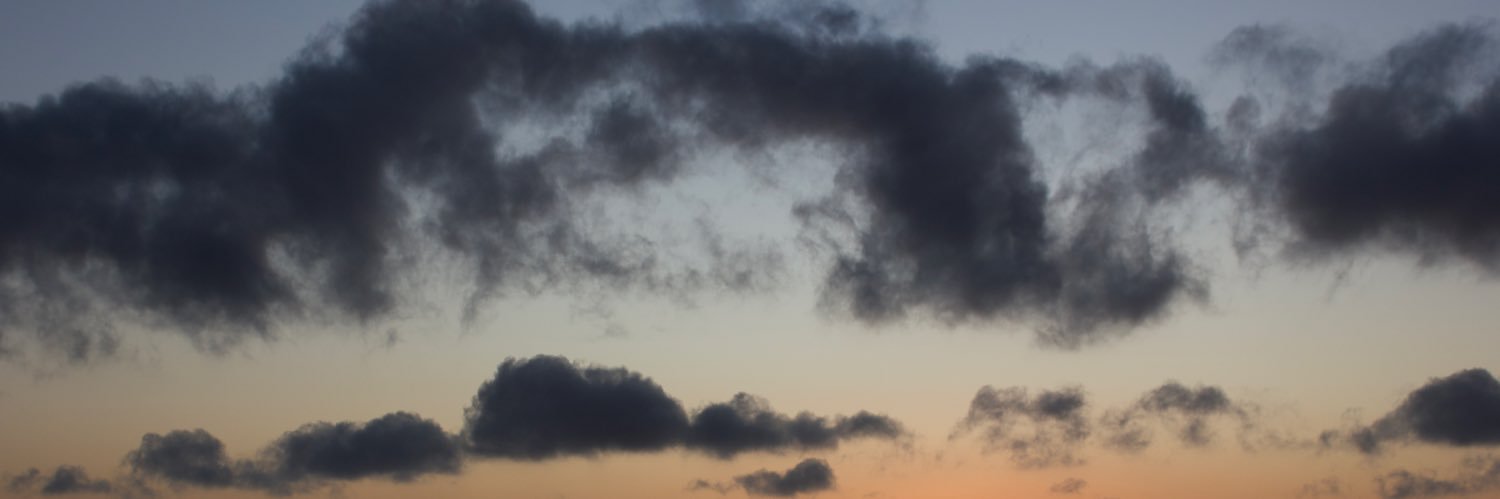 ℒ banner