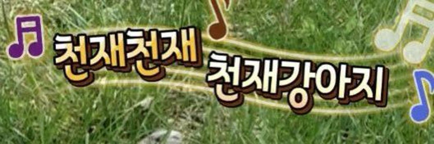 히어 banner