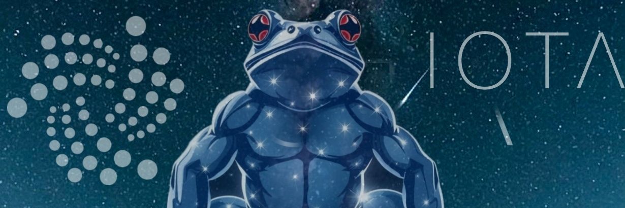 IOTAfrogger banner