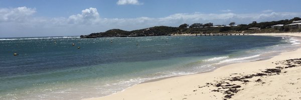 willegan Profile Banner