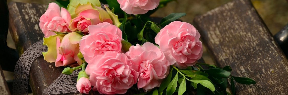 Meral Şenlik✍️ banner