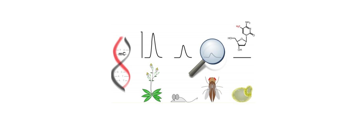 Ralser Lab's banner