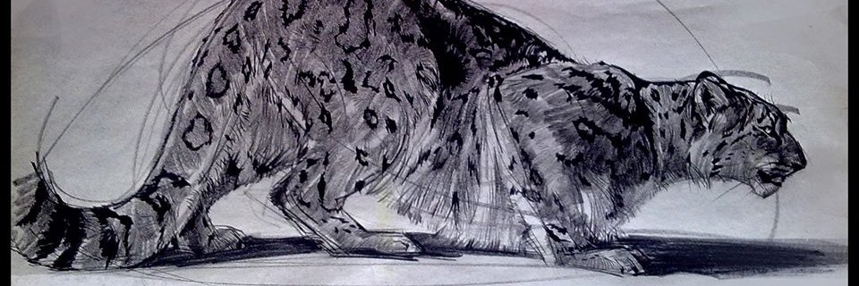 Danielle Haney banner