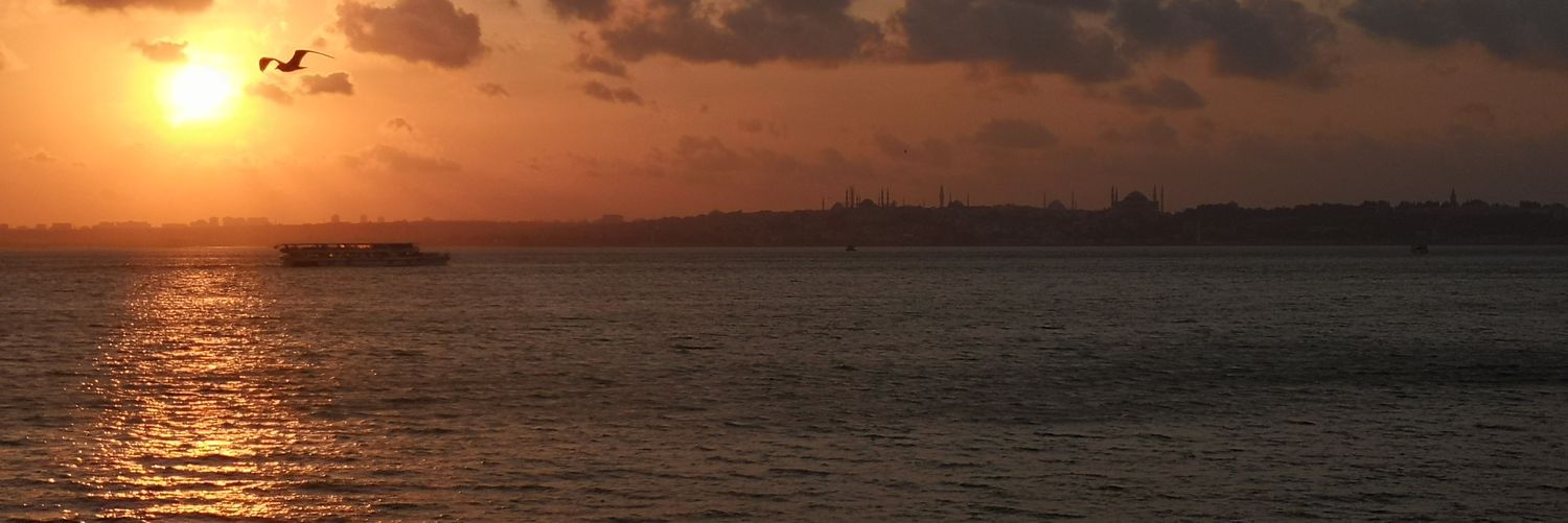 JournoSelim's profile banner image