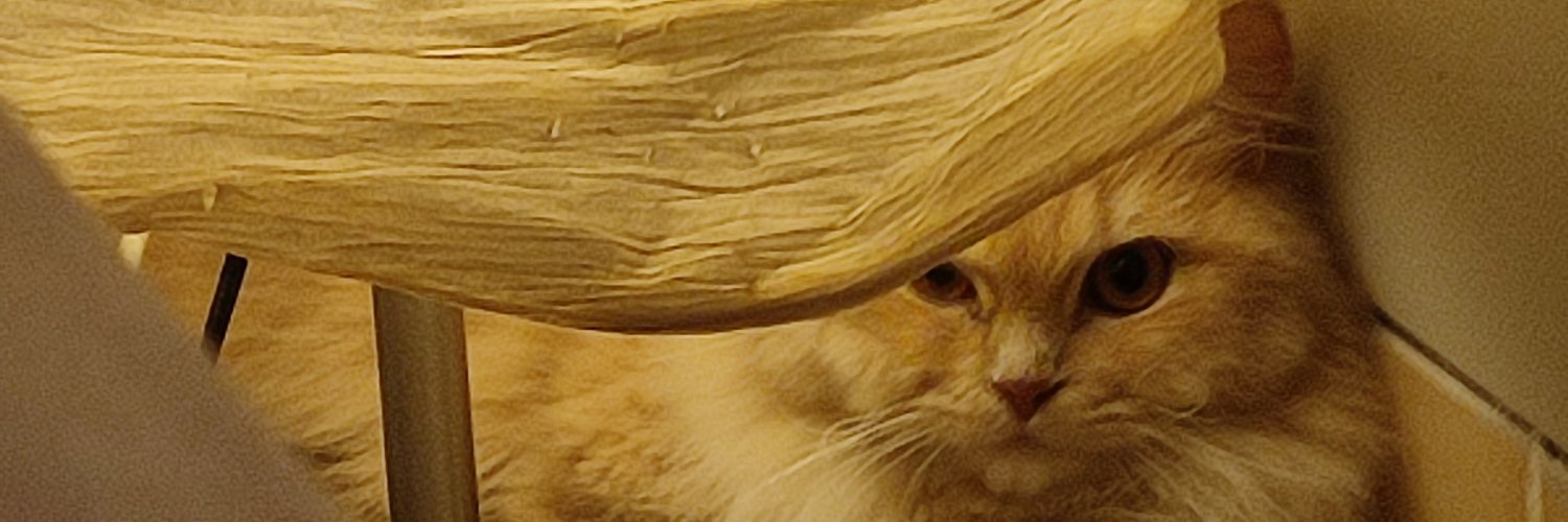 ganjarhead's profile banner image