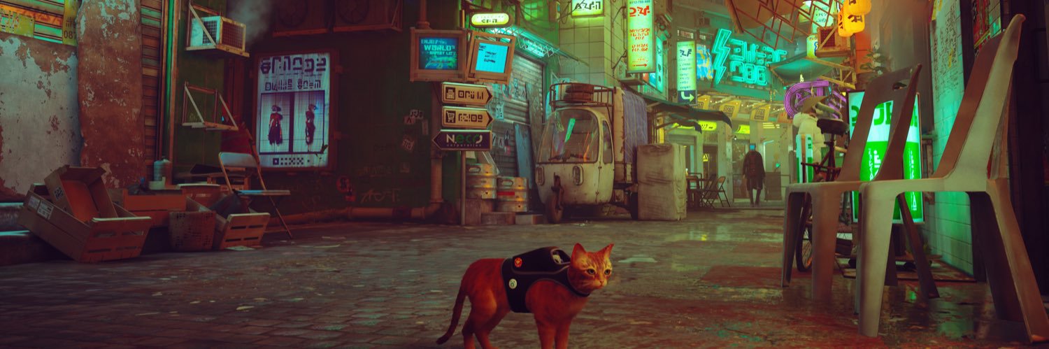 jane_therealm's profile banner image