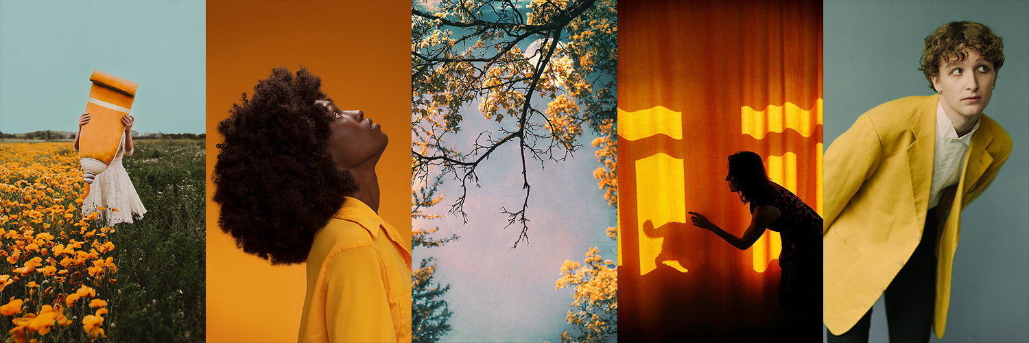 Trevillion Images banner