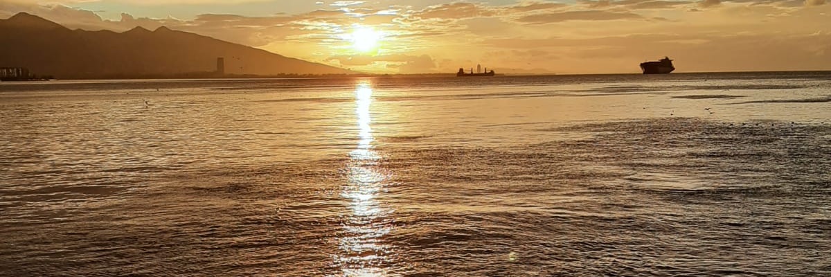 Busranursamlii's profile banner image