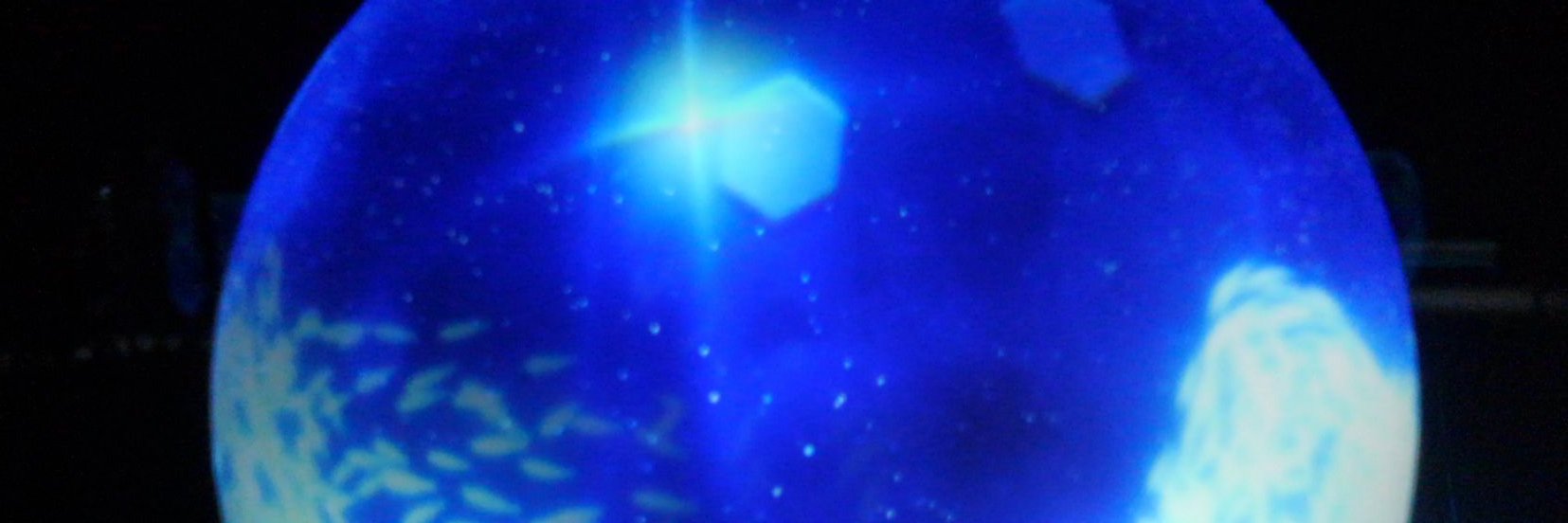 earo_wing's profile banner image