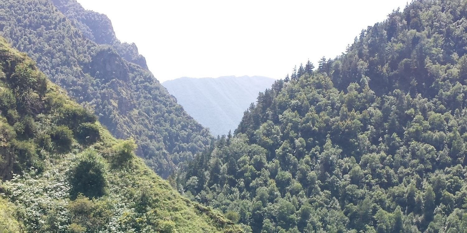 Little_Georgian's profile banner image