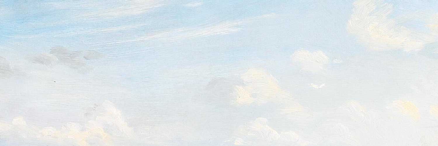 forse proprio banner