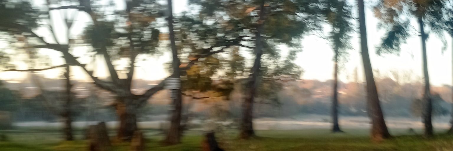 mureyit's profile banner image