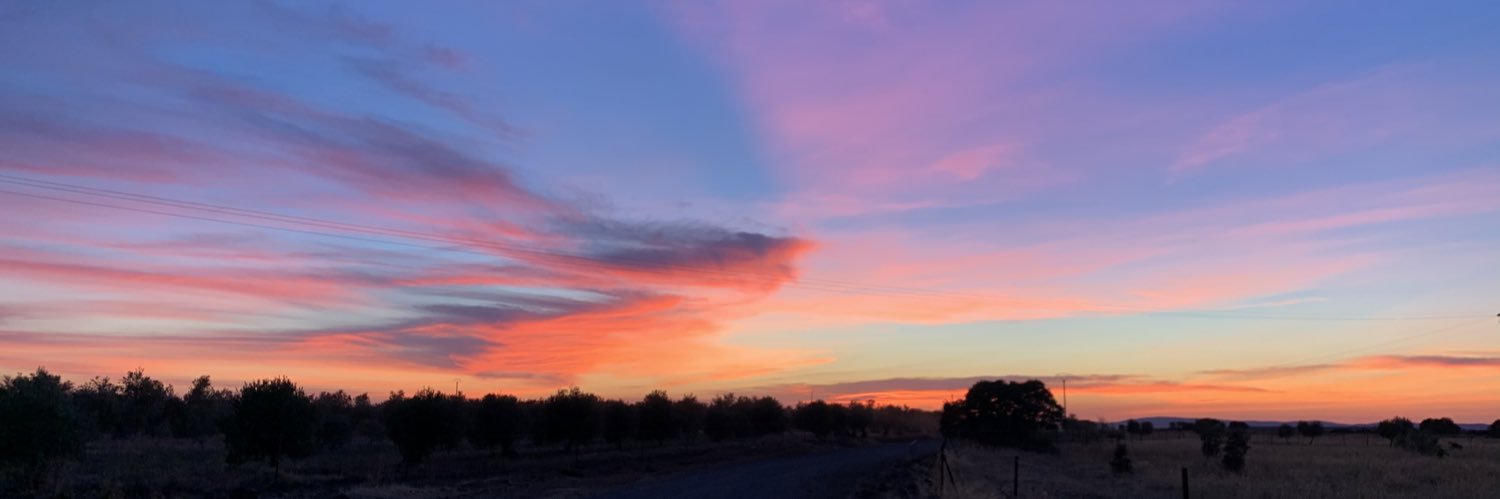 andreitatwelve's profile banner image