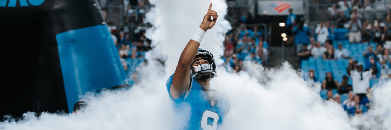 Depressed_Panthers_Fan1 banner