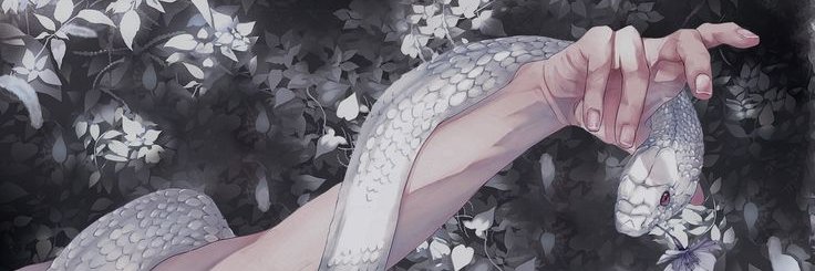 Hysoka banner