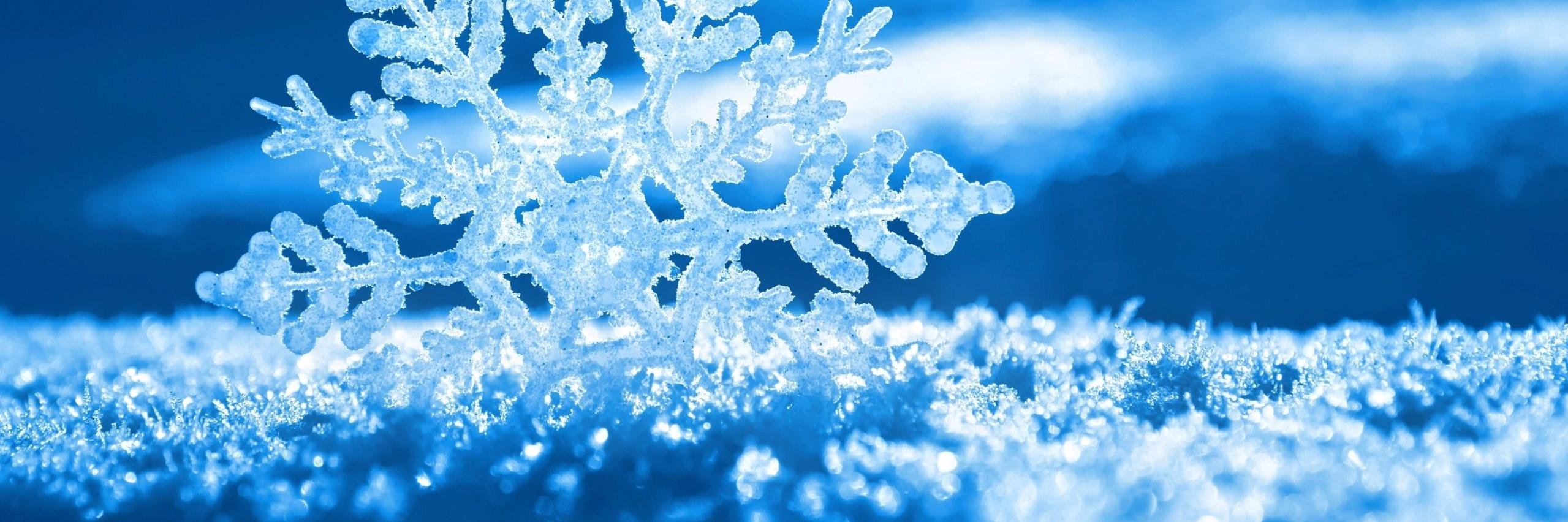 freesnowgames's profile banner image