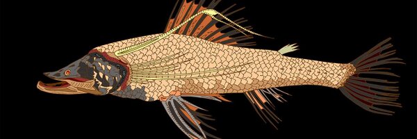 seabedbiologist Profile Banner