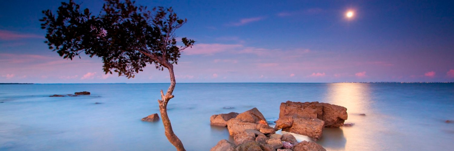 Chris Kimpton (@kimptoc@androiddev.social) banner