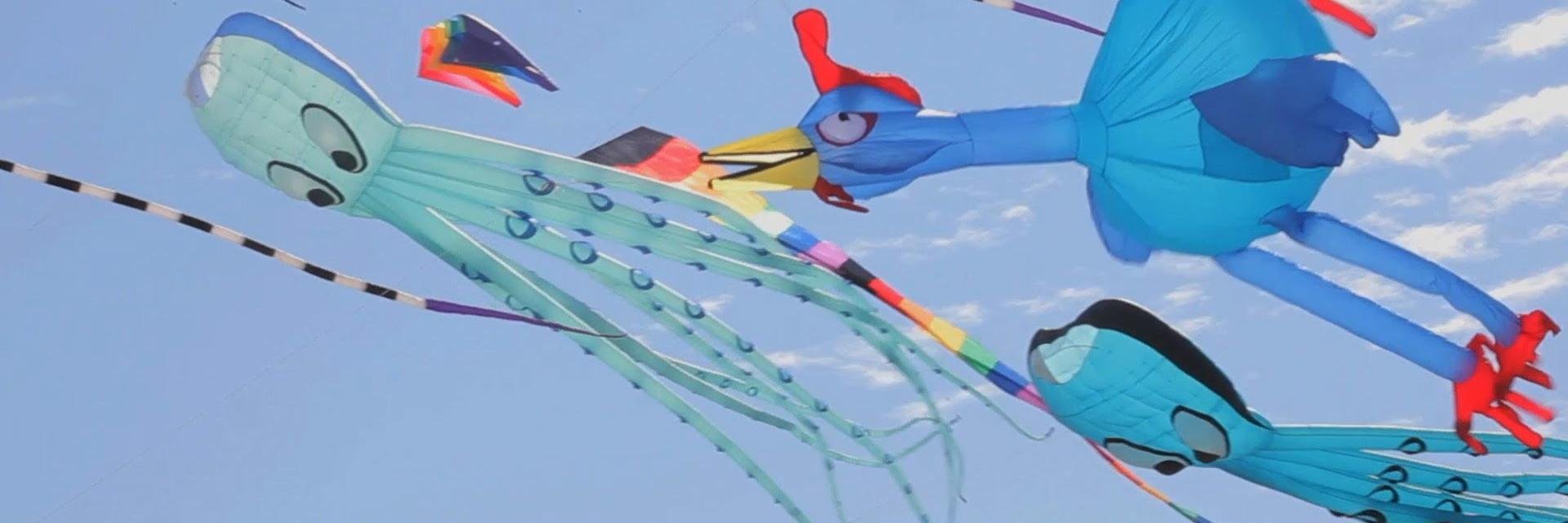 TorontoWindFest's profile banner image
